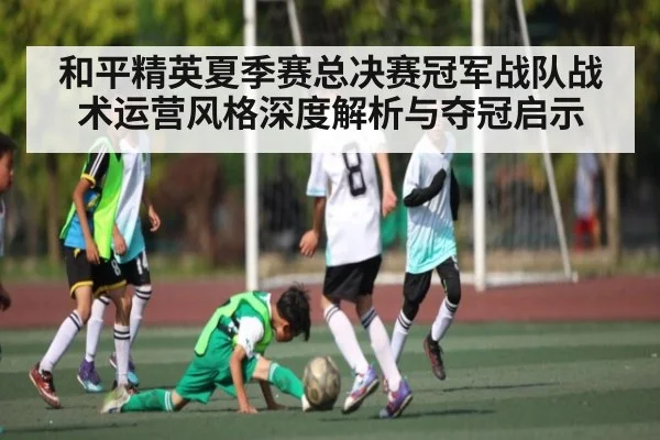 和平精英夏季赛总决赛冠军战队战术运营风格深度解析与夺冠启示